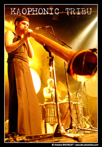 KAOPHONIC TRIBU